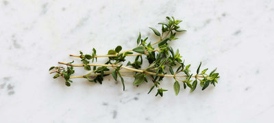 Unlocking the Health Benefits of Thyme: From Kitchen to Medicine Cabinet