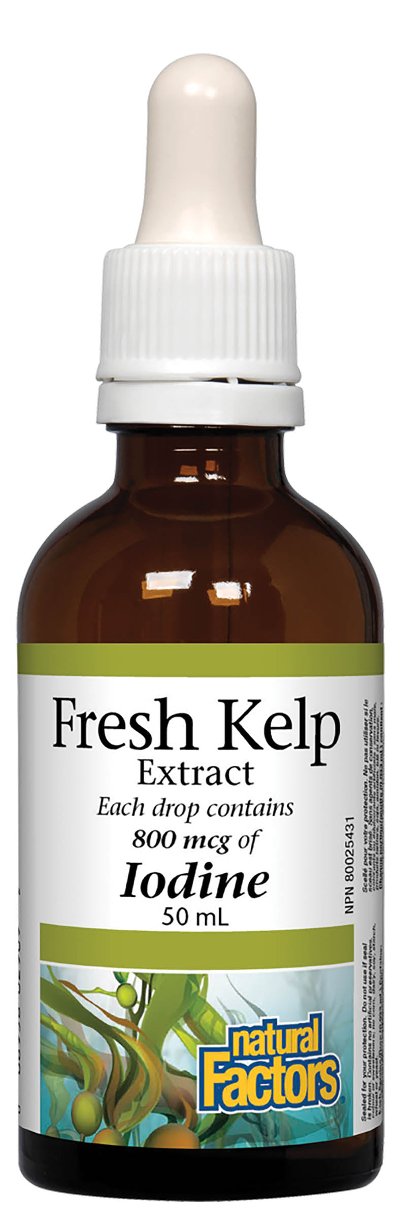 Natural Factors Fresh Kelp Extract 800mcg 50ml