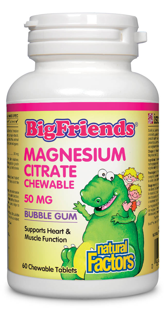 Natural Factors Big Friends Magnesium 60 tablets - BUBBLE GUM