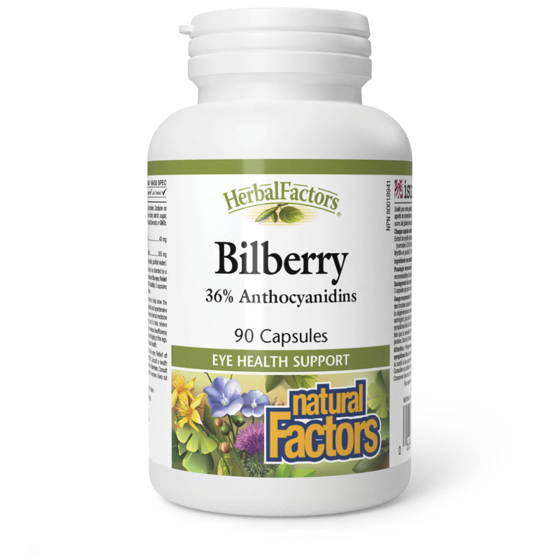 Natural Factors Bilberry 90 capsules
