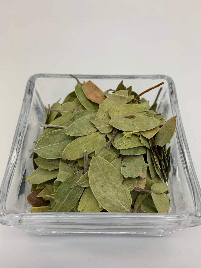 Uva Ursi 100g