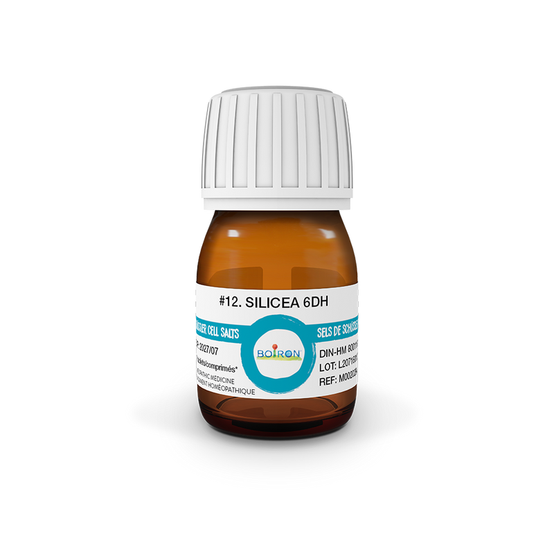Boiron Schuessler Cell Salt 240 tablets - Silicea